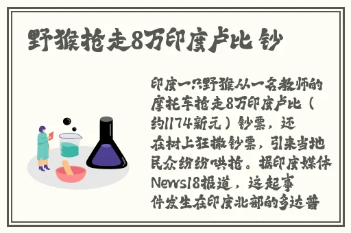 亲子乱对白乱都乱了